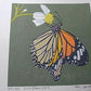 Yoshida Masaki "Butterfly Series 6sets B "