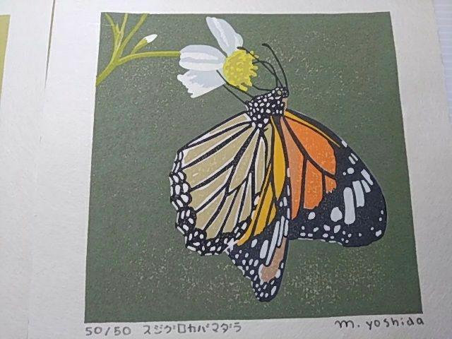 Yoshida Masaki "Butterfly Series 6sets B "