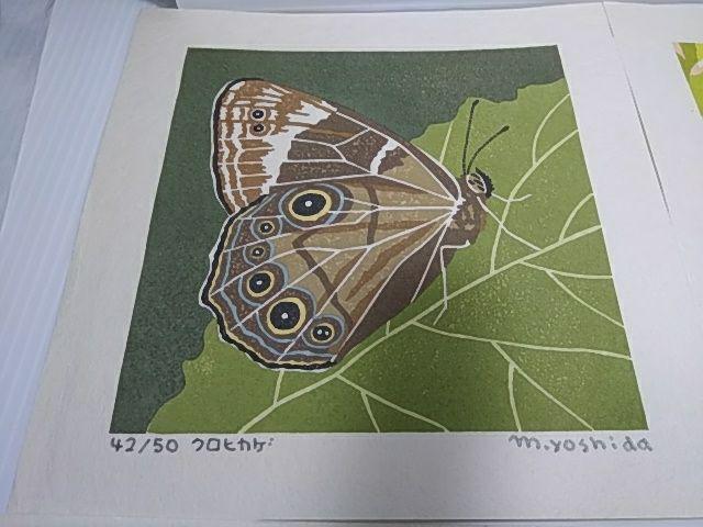 Yoshida Masaki "Butterfly Series 6sets B "