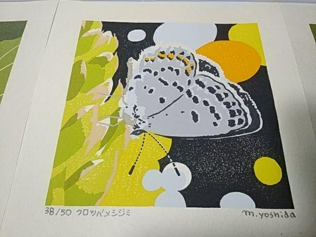 Yoshida Masaki "Butterfly Series 6sets B "