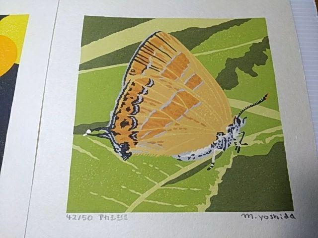 Yoshida Masaki "Butterfly Series 6sets B "