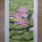Yoshida Masaki "Hyakka-fu Pygmy Waterlily"