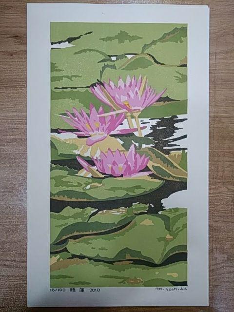 Yoshida Masaki "Hyakka-fu Pygmy Waterlily"