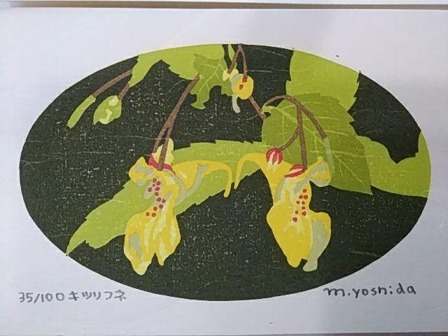 Yoshida Masaki "DAEN Flower Series 8 sets"