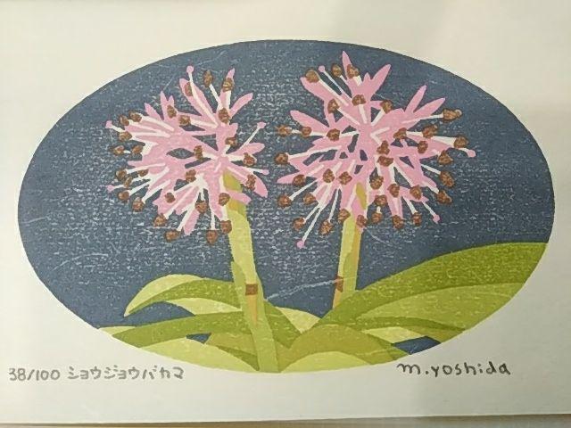 Yoshida Masaki "DAEN Flower Series 8 sets"