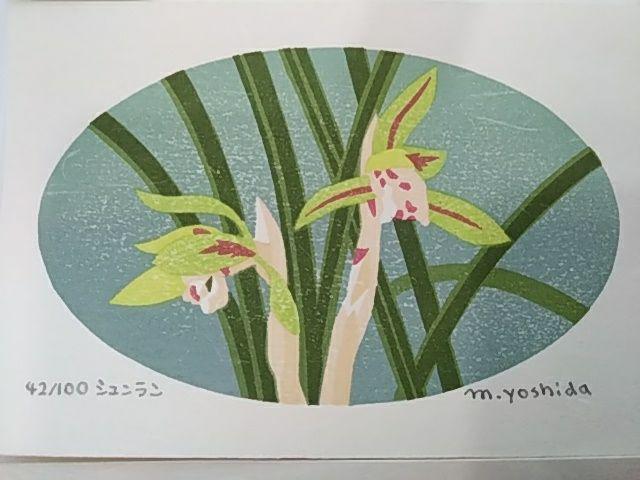 Yoshida Masaki "DAEN Flower Series 8 sets"