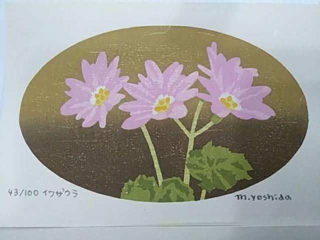 Yoshida Masaki "DAEN Flower Series 8 sets"