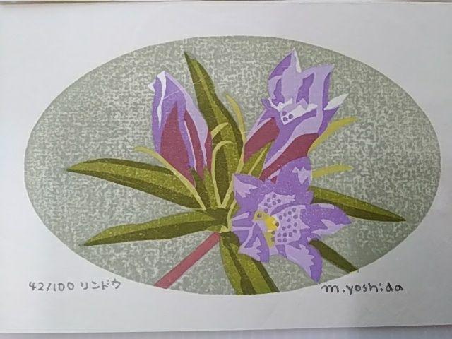 Yoshida Masaki "DAEN Flower Series 8 sets"