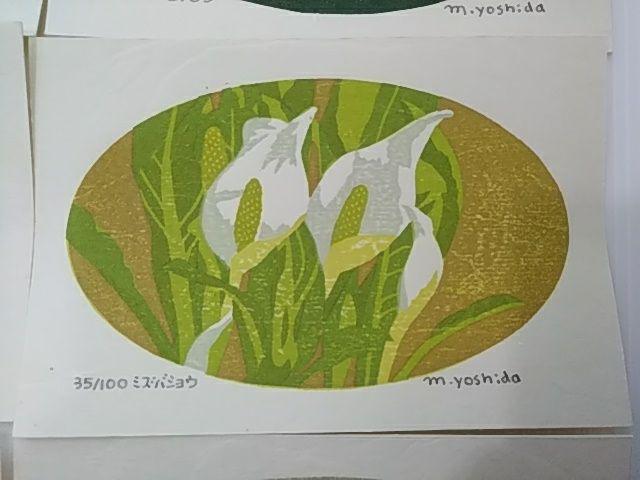 Yoshida Masaki "DAEN Flower Series 8 sets"