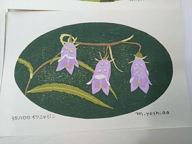 Yoshida Masaki "DAEN Flower Series 8 sets"