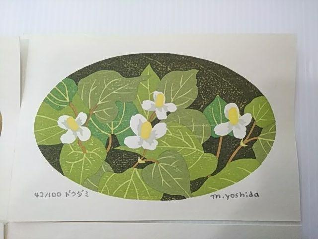 Yoshida Masaki "DAEN Flower Series 8 sets"