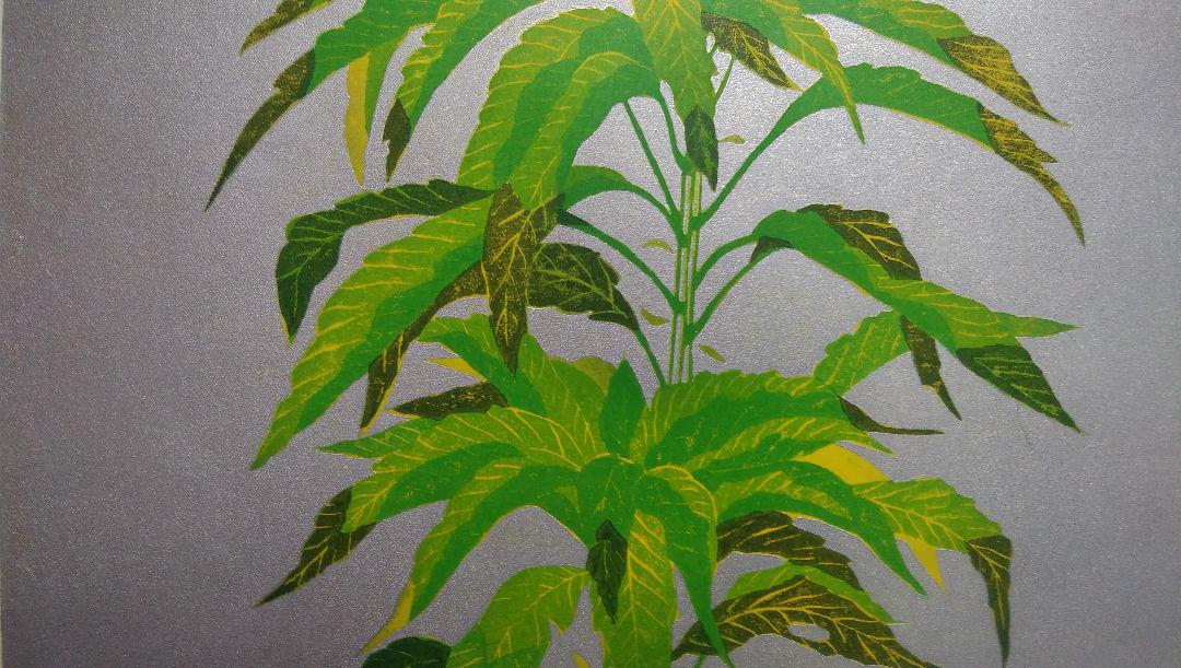 Nishida Tadashige "Leaf Cock's Head (Silver)"
