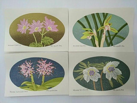 Yoshida Masaki "DAEN Flower Series 4 sets"