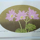 Yoshida Masaki "DAEN Flower Series 4 sets"
