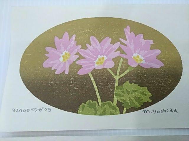 Yoshida Masaki "DAEN Flower Series 4 sets"