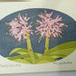 Yoshida Masaki "DAEN Flower Series 4 sets"