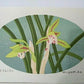 Yoshida Masaki "DAEN Flower Series 4 sets"