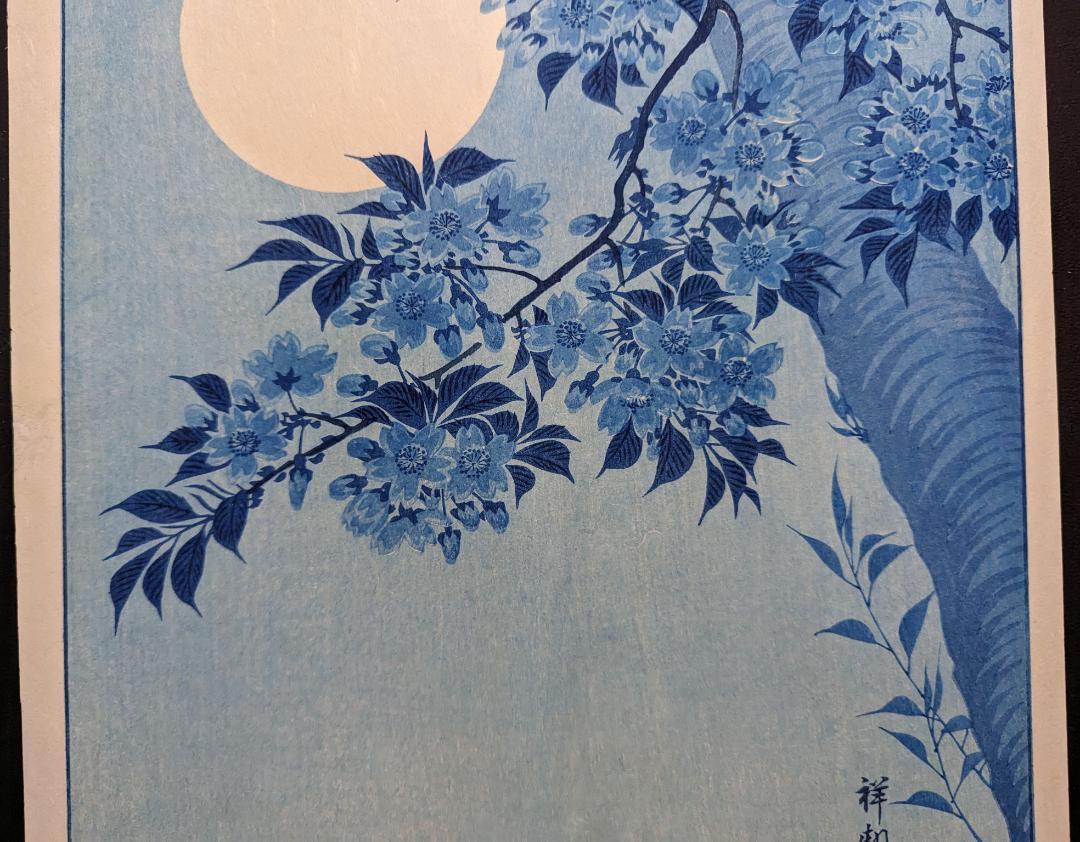 Ohara Koson "Cherry blossoms on a moonlit night"