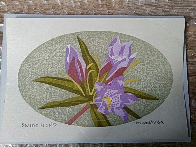 Yoshida Masaki "Flower Series Gentiana scabra"