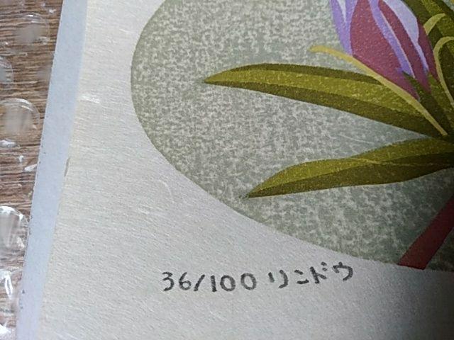 Yoshida Masaki "Flower Series Gentiana scabra"