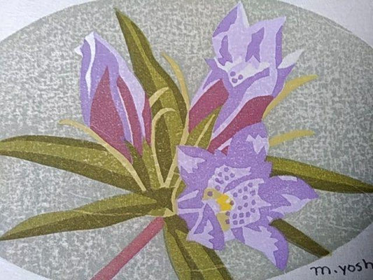 Yoshida Masaki "Flower Series Gentiana scabra"