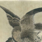 Ohara Koson "Eagle in a Stormy Sea"