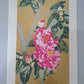 Yoshida Masaki "Hyakka-fu Yae camellia"