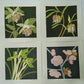 Yoshida Masaki "Saikafu Series 4 sets"