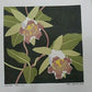 Yoshida Masaki "Saikafu Series 4 sets"
