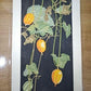 Yoshida Masaki "Cucumber"