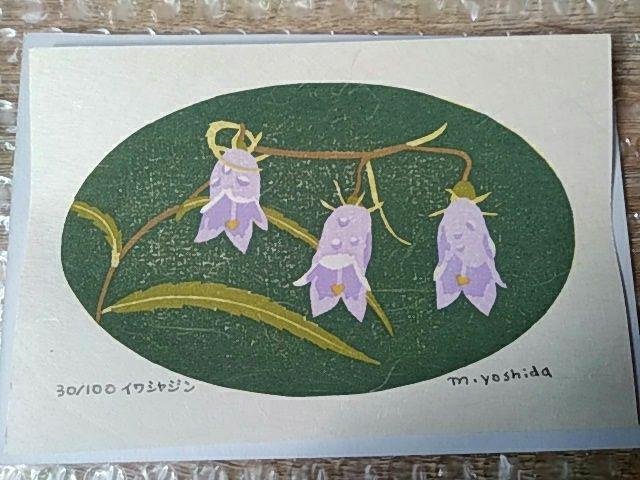 Yoshida Masaki "Flower Series Adenophora Takedae"