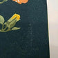 Yoshida Masaki "Hyakka-fu Cape honeysuckle"