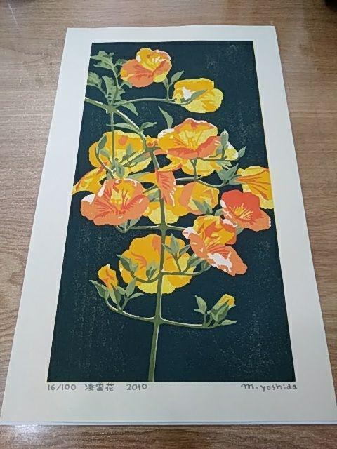 Yoshida Masaki "Hyakka-fu Cape honeysuckle"