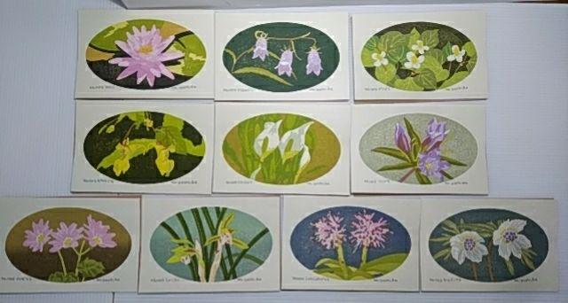 Yoshida Masaki "DAEN Flower Series 10 SETS"