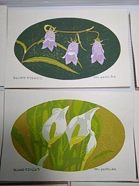 Yoshida Masaki "DAEN Flower Series 10 SETS"