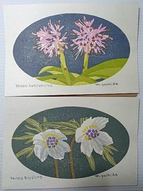 Yoshida Masaki "DAEN Flower Series 10 sets"