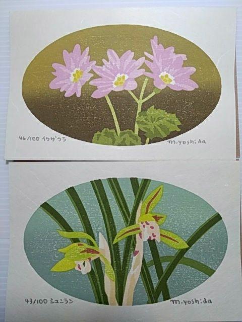 Yoshida Masaki "DAEN Flower Series 10 SETS"