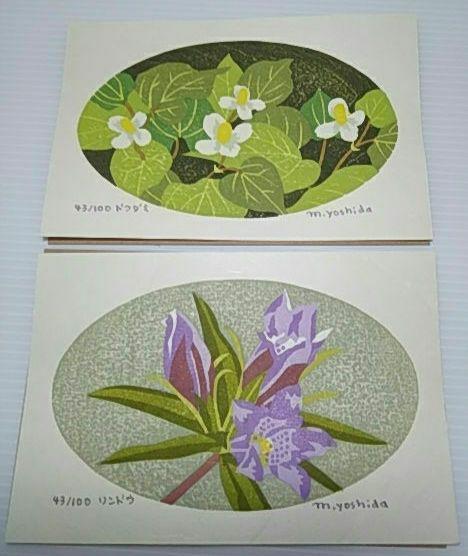 Yoshida Masaki "DAEN Flower Series 10 SETS"