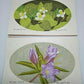 Yoshida Masaki "DAEN Flower Series 10 sets"