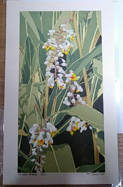 Yoshida Masaki "Hyakka-fu Shell Ginger"