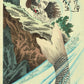 Tsukioka Yoshitoshi "Kintaro Capturing a Carp"