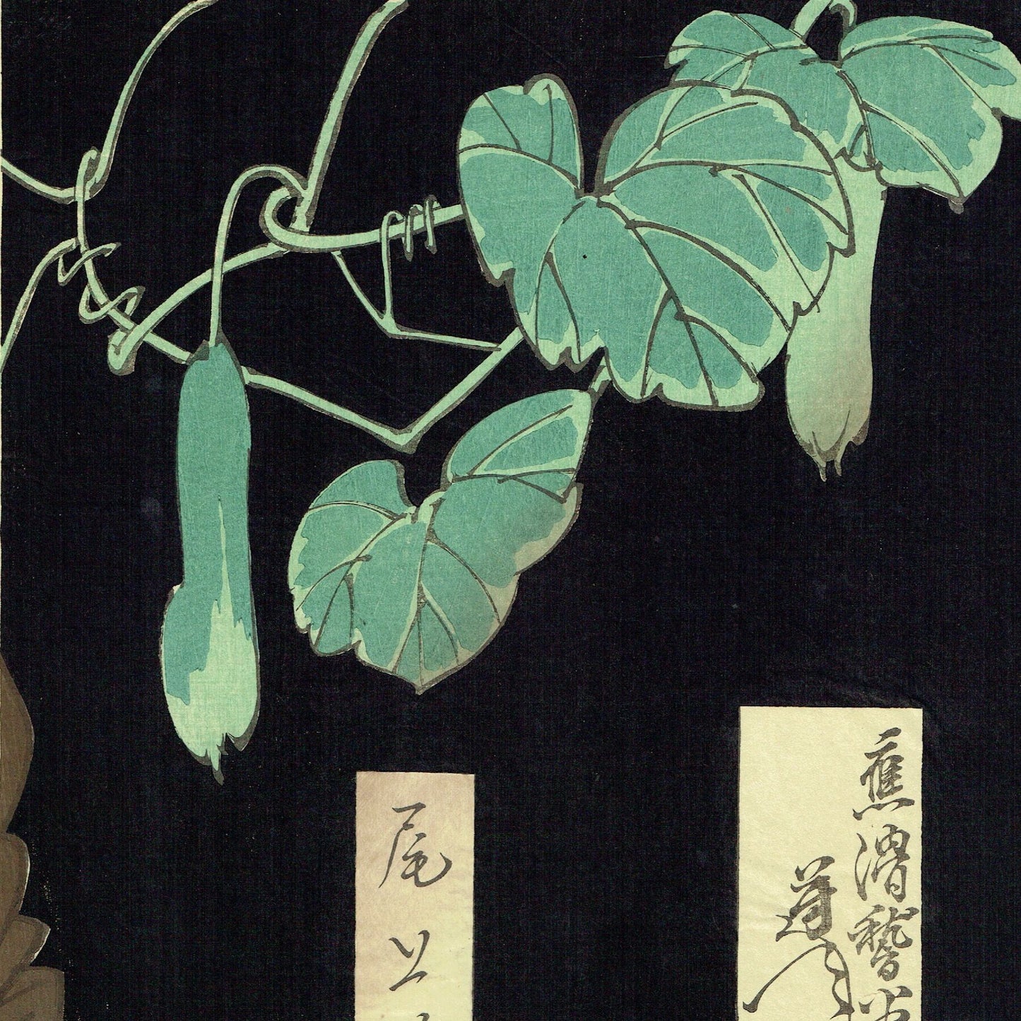 Tsukioka Yoshitohshi "Onoe Kikugoro V Old woman of one family"