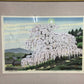 IDO MASAO "Waterfall cherry blossoms"