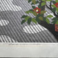 IDO MASAO "Camellia at Daisenin Temple"
