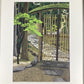 IDO MASAO "Street door"
