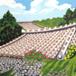 IDO MASAO "Okinawa"