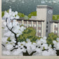 IDO MASAO "Ritsumeikan"