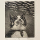 SATO EMI "mackerel sky"