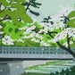 IDO MASAO "Spring of the Shukugawa River"