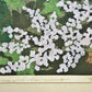 IDO MASAO 4SET